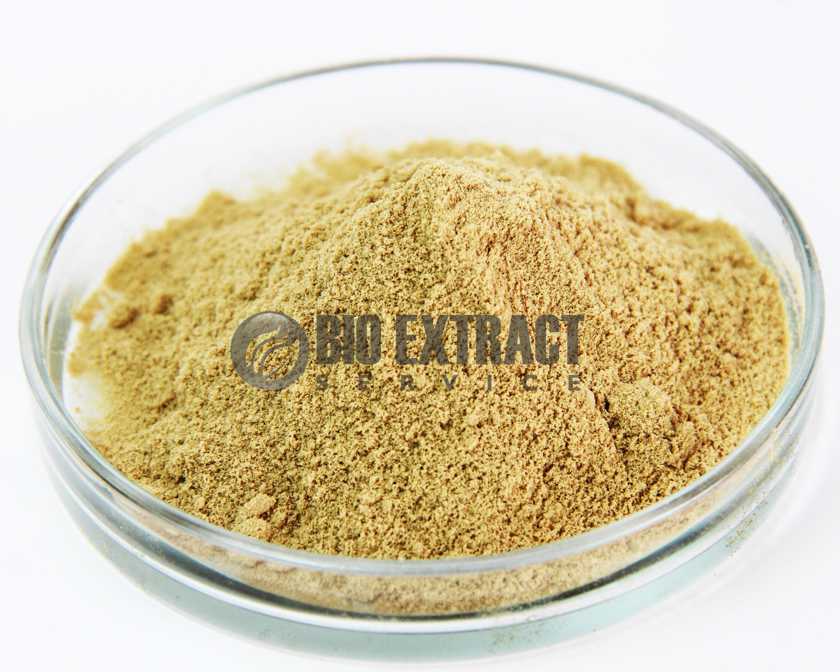 Licorice extract powder 8_12_ GA by HPLC_ 30_32_ by UV